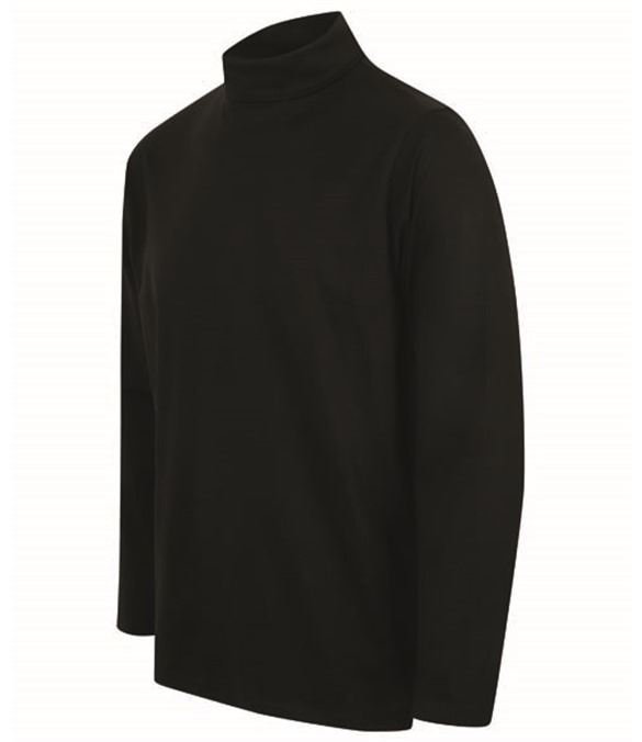 Long sleeve roll neck top